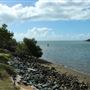 Tuckeroo Park & Dog beach