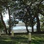 Nudgee Beach
