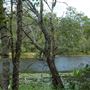 Enoggera Reservoir