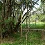 Enoggera Reservoir