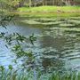 Enoggera Reservoir