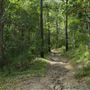 Enoggera Reservoir