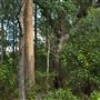 Jolly's Lookout