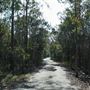 118 Green Camp Rd