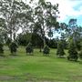 Anzac Park
