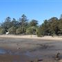 Pandanus Beach