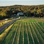 Sirromet Winery