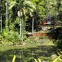 Rainforest Gardens