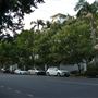 Newstead Streetscape