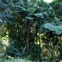 Palm Grove Property