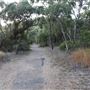 Kemp Beach and Bluff Point Scenic Walk