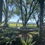 Allenview