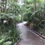 Roma St Parklands