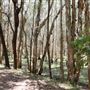 Gold Coast - Coombabah Lakelands