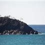 Noosa Cliffs
