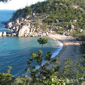 Arthur Bay (Magnetic Island)