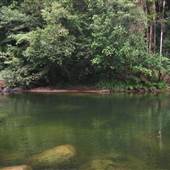 Mossman Gorge