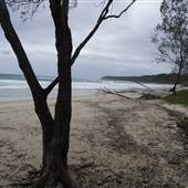 Minjeeribah (North Stradbroke Island) - Home Beach