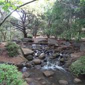 Japanese Garden - University of Southern Queensland