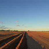 Isisford-Yaraka Service Road