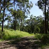 High Country Dirt Track