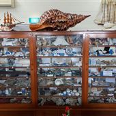 Shell World Yeppoon - Museum