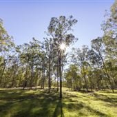Bigges Camp Park