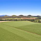 Tablelands Farming