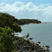 Tuckeroo Park & Dog beach