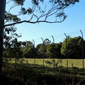 Rural Rainforest and High Fence