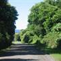 Mountain Road with Views