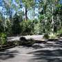 Bellbird Grove - D'Anguilar National Park