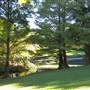 Mt Coot-tha Botanical Gardens