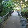 Mt Coot-tha Botanical Gardens