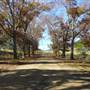 Cedar Glen Farmstay