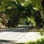 Currumbin Creek Road