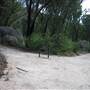Warwick Region - Girraween National Park