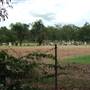 Haigslea Lawn Cemetery