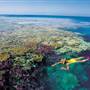Hardy Reef
