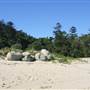Hook Island