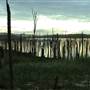 Lake Tinaroo