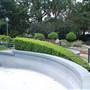 Laurel Bank Park