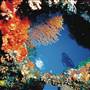Lizard Island - National Park