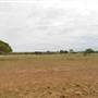 Longreach Landscape