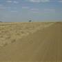 Longreach Landscape