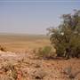 Longreach Landscape