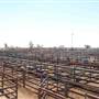 Longreach Township