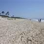 Main Beach
