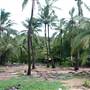 Magnetic Island - Overview