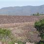 Maroon Dam